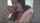 brunette amateur cumshot