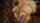 blonde amateur pov