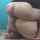 ass anal doggy