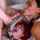 facial cumshot redhair