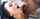 facial milf interracial