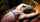 bdsm breathplay suffocate