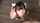 jav blowjob eye contact