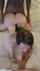 bbc interracial doggystyle
