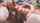 tattoo outdoor blowjob
