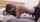 camgirl amateur doggy