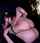 redhead big ass girl fucks guy
