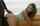 bbc interracial doggystyle