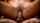 reverse cowgirl vaginal riding