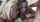 threesome blonde brunette
