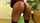 ebony big ass ass tease