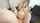 blonde pornhub cock