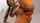 camgirl pigtails beautiful