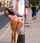 big ass booty ass