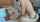 busty fucked missionary