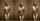 nudemodel nude model