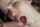 blowjob facial cumshot