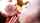 lesbian evil angel kissing