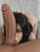 teen blowjob black hair