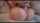 mating press brunette johnny sins