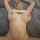 missionary canadian stepmom