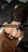 jot anal brunete