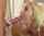blonde blowjob tip