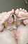 camgirl brunette nerd