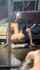 bbc interracial blowjob