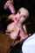 cumshoot blowjob milf