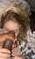 bbc interracial blowjob