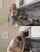 shaved teen uncensored