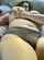 chubby near naked bbw