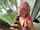 onlyfans skylar vox big tits