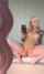 onlyfans petite blonde
