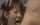 jav japanese beauty
