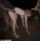 bbc interracial doggystyle