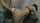 big tits bdsm dungeon