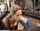 bbc interracial blowjob