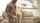 bbc big ass interracial