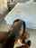 bbc interracial blowjob