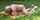 teen grandpa outdoor