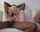 blonde oral blowjob