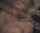 amateur teen model