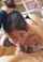 blowjob facefuck brunette