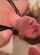 teen brunette cum