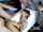 gangbang latina teen double penetration