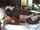 bbc black interracial