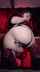 asian buttplug ass to mouth