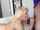 blond blowjob suck